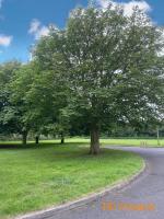 Patrington Haven HU12 0QD